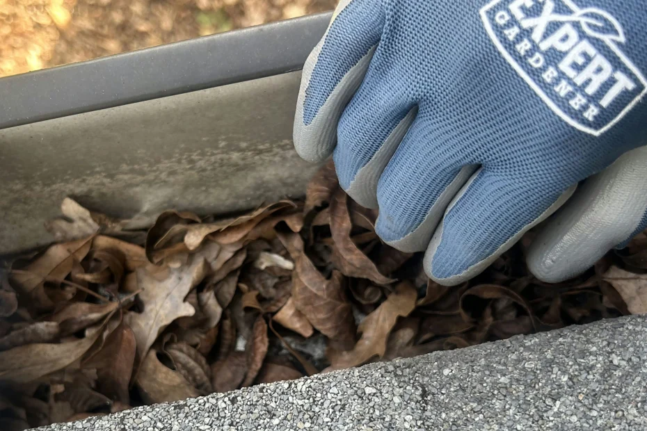 Gutter Cleaning Sunnyvale TX