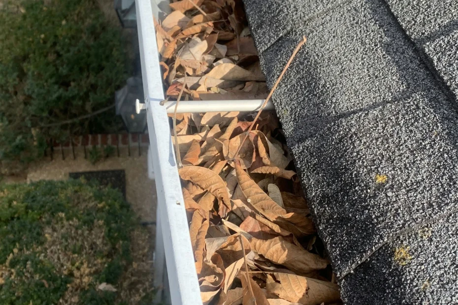 Gutter Cleaning Sunnyvale TX