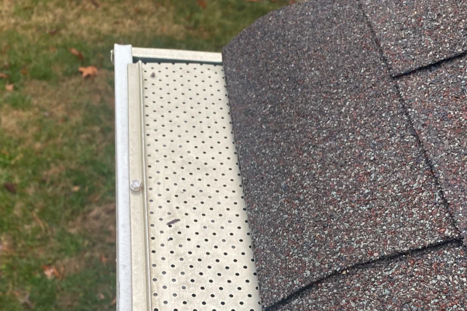 Gutter Cleaning Sunnyvale TX