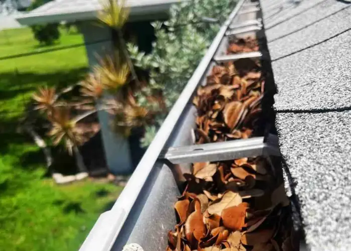 Gutter Cleaning Sunnyvale TX home page